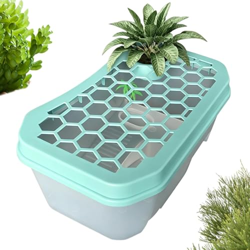Acuario para tortugas acuáticas y cuenca de cría abierta para ranas y reptiles 2