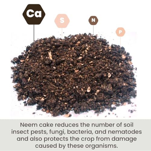 Image of SJ Organics Neem Cake Powder | Powerful Soil Enhancer for Vigorous Plant Growth (Pack of 1)