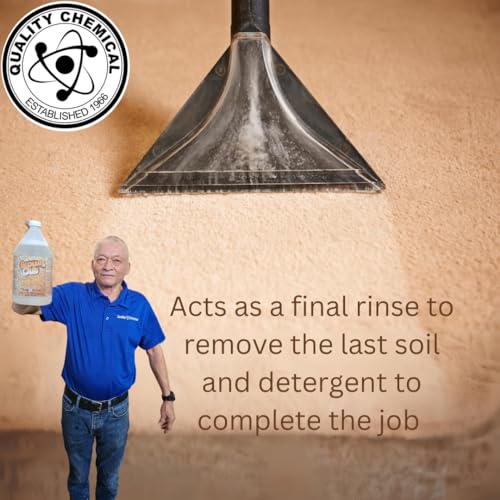 image for Quality Chemical Brown Out Carpet Stain Remover/Carpet Cleaner Solutio