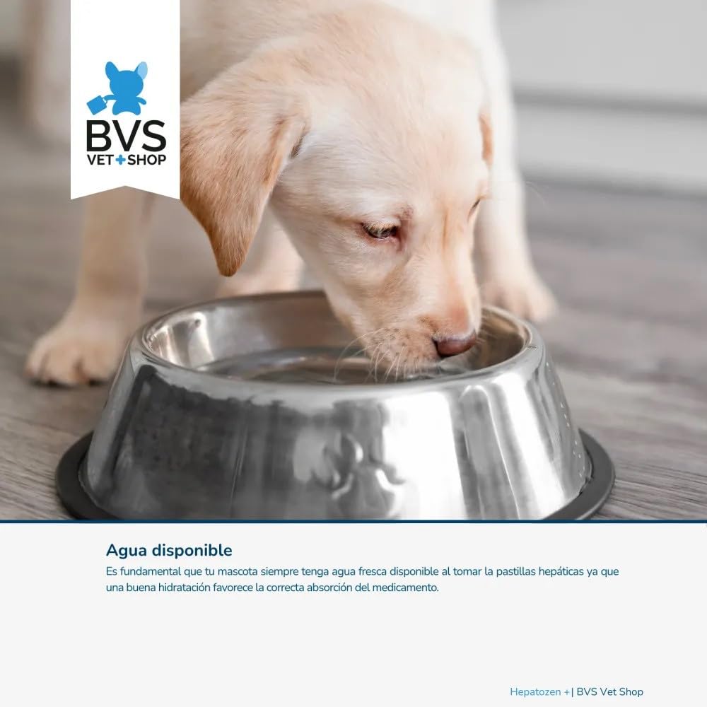 BVS Vet Shop | Hepatozen Plus 40 Comprimidos para Perros y Gatos | Promueve la Salud hepática y la regeneración del hígado de tu Mascota | 400/100 - Razas Grandes