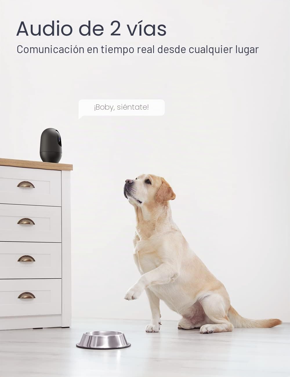 Nooie Cámara de vigilancia 2K Interior, Monitor de bebé WiFi de 360° con cámara, cámara para Perros con aplicación, Seguimiento de Movimiento, visión Nocturna, Audio bidireccional