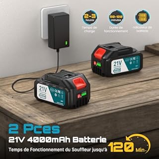 SEESII 8 Pouces Mini Tronçonneuse à Batterie 2x4000mAh, Tronçonneuse Électrique sans Fil avec Injecteur de Lubrifiant et Chaîne de Remplacement, Mini Scie à Chaîne Électrique pour Jardin, CH820+