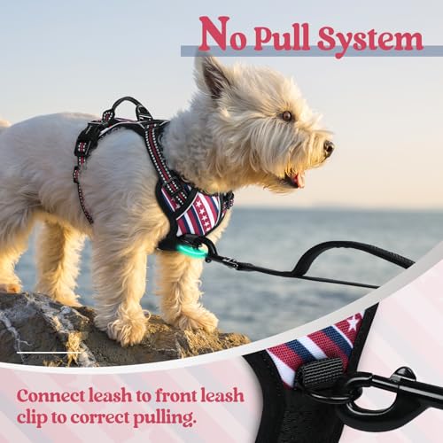 Image of rabbitgoo Dog Harness No Pull with 2 Leash Clips, Adjustable Soft Padded, Reflective Oxford No Choke Pet Vest with Easy Control Handle for Large Dogs, Red Stripe, XS