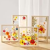 Zoom IMG-1 woohome 160 pezzi fiori secchi Zoom IMG-1 woohome 160 pezzi fiori secchi