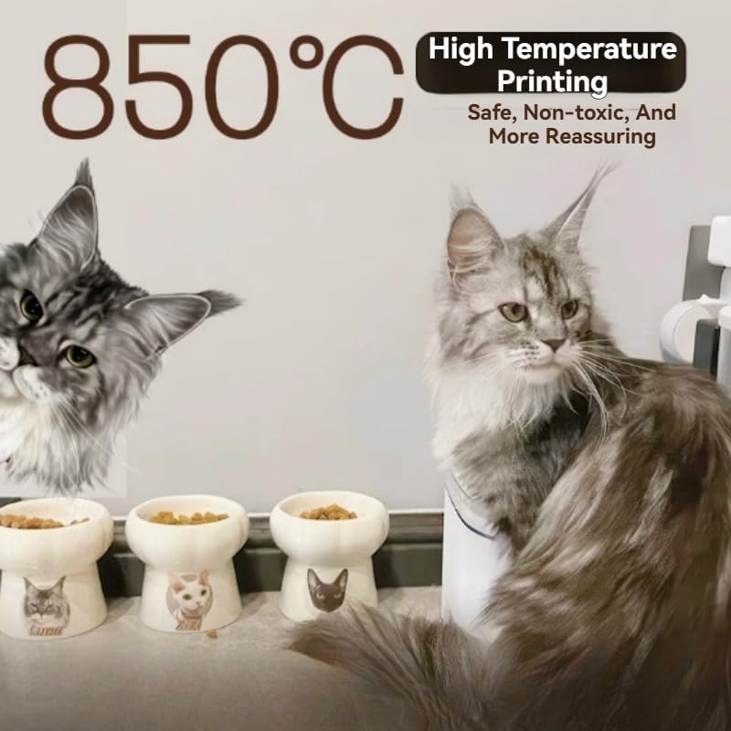 Custom Ceramic Pet Bowls,Personalized Photo Elevated Cat Food Bowl,Prevent Neck & Whisker Fatigue,Pet Birthday Party Gift