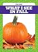 What I See in Fall (Tadpole Books: Seasons)