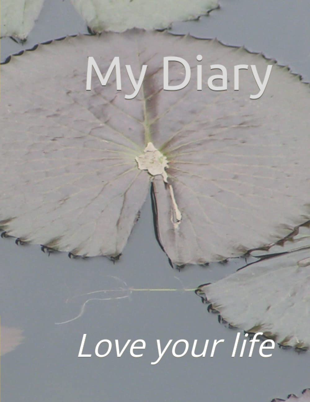 My Diary: Love your life