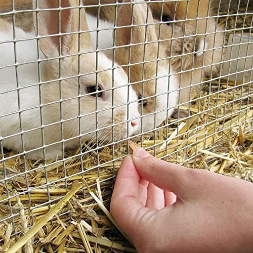 1/2" Square Stainless Steel Welded Wire Mesh - Rust-Proof, Heat-Resistant Rabbit & Chicken Wire for Garden, Home Projects, Animal Fencing, Durable Outdoor Use