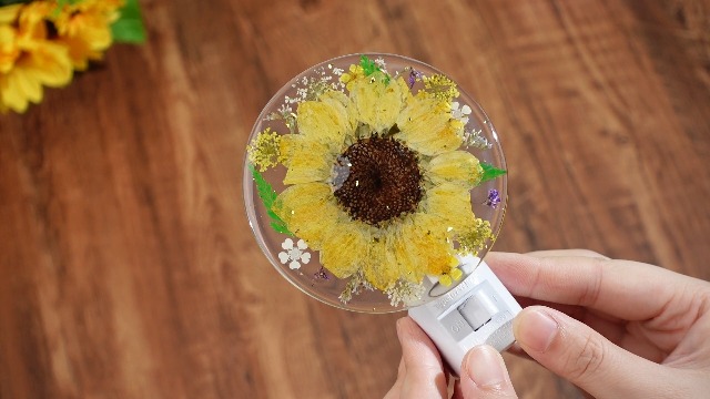 Image of Glooglitter Pressed Flower Night Light Plug in-Handmade Dried Floral Wall Night Light, Glow Decorative Nightlight for Hallway Bedroom Nursery Bathroom, Vintage Botanical (Yellow,Sunflower)