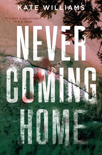 Never Coming Home view 2