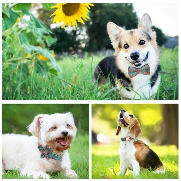 Hundehalsband-Set Mit Schleife & Leine – Kariert, Wasserdicht, Verstellbar, Größe M