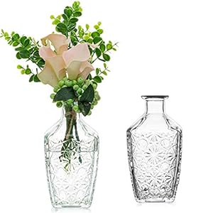 Sziqiqi Set of 2 Glass Vases, Decorative Vases, Glass Vases for Wedding, Table Decoration, 18.5 cm, Large Flower Vase, Vintage Glass Bottles, Vase, Country House Style for Living Room, Vintage Vases, Wedding Set