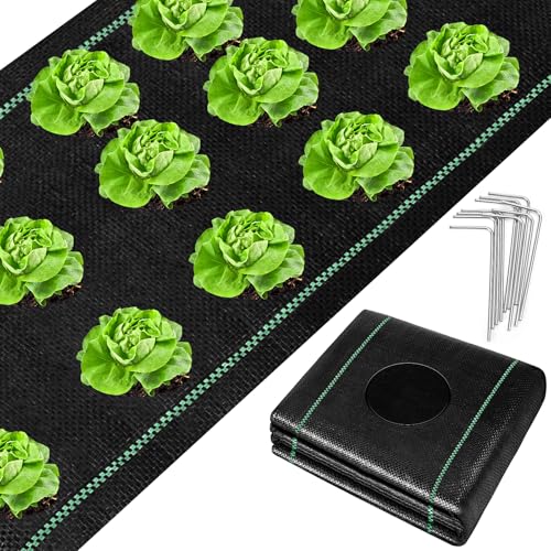 UNIFAMILY 3 x 30 Feet Landscape Fabric Heavy Duty, Woven Barrier Fabric with Planting Holes, Garden Ground Cover Fabric, Garden Sheets Planting Fabric, Gardening Fabric with Precut Holes