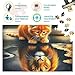 Imagen de Rompecabezas clásico de 1000 Piezas con diseño de león y Gato
