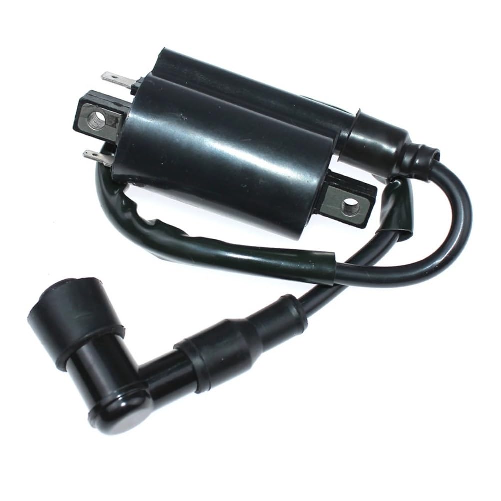 Bobine d'allumage haute tension stable pour moteurs 240 260 325 425 LX176