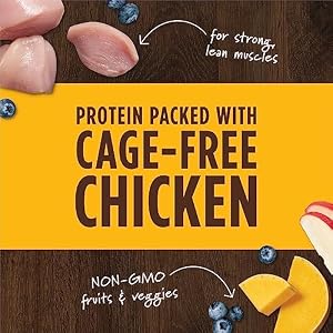 Intuition Uncooked Enhance Mixers Freeze Dried Uncooked Canine Meals Topper, Grain Free Freeze Dried Canine Meals Topper 6 Ounce (Pack of 1) Intuition Uncooked Enhance Mixers Freeze Dried Uncooked Canine Meals Topper, Grain Free Freeze Dried Canine Meals Topper 6 Ounce (Pack of 1)