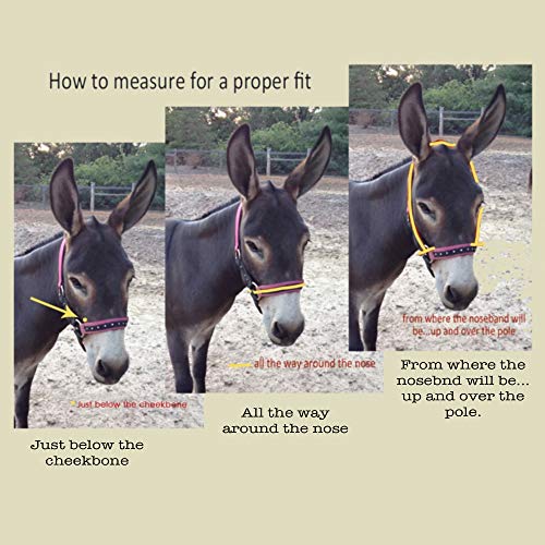 HalterUp Miniature Donkey Halters and Lead Ropes (2 Item Bundle) Available in 10 Colors (Maroon, Large)