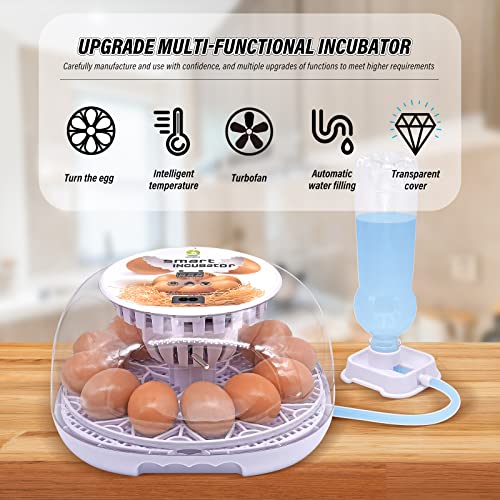 ZOING Smart 12 Eier Inkubator zum Schlüpfen von Hühnereiern mit automatischer Temperatur- und Feuchtigkeitsregelung, klarer Geflügelfänger für Küken, Ente, Wachtel, Gänseeier
