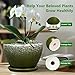Ceramicfor 6 Inch Plant Pot - Ceramic Planter Pot with Drainage Hole and Saucer, Glaze Succulent Pot Modern Round Flower Pot for Indoor Plants, Dark Green