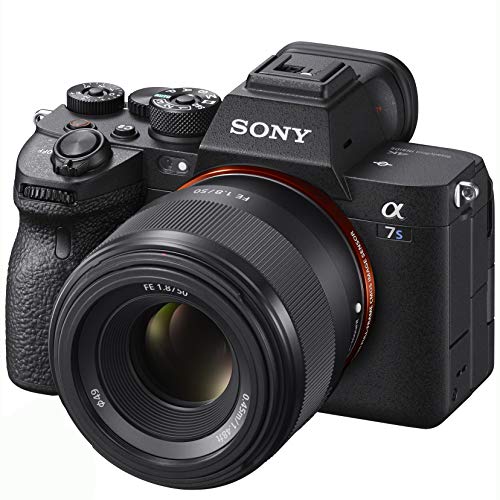 Whole Home professional mirrorless camera body Bundle product image