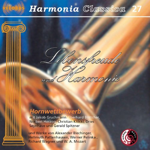 Konzert für Bassetthorn (Für Horn und Klavier)