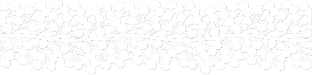 White Botanical Sprout, 2.75-Inch Washi Die-Cut Pavilio Lace Tape