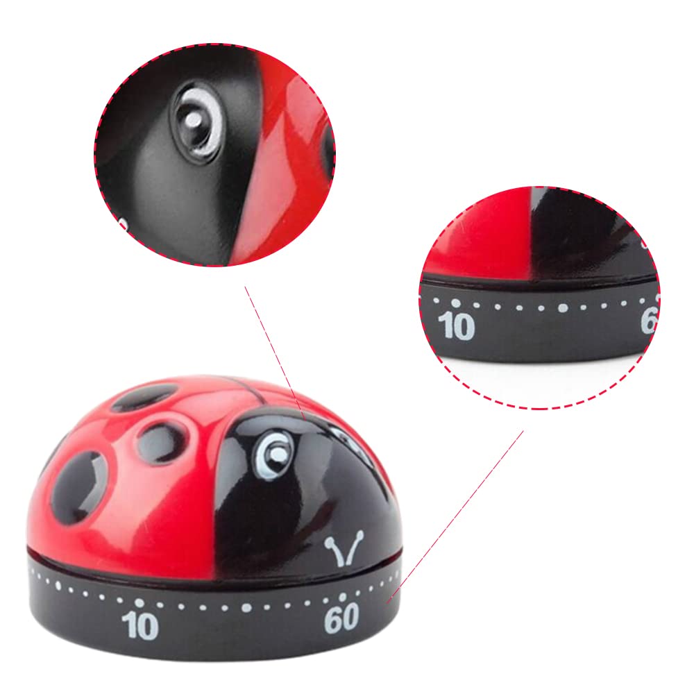 Mechanical Kitchen Timer 60-Minute Wind-Up - Eucalyptus Design, Loud Alarm, Magnetic Back, No Batteries Needed
