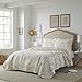 Laura Ashley - Queen Quilt Set, Soft Cotton Bedding with Reversible Design, Medium Weight for Year Round Use, 3 Piece Bed Set with Matching Pillowcases (Amberley Beige)