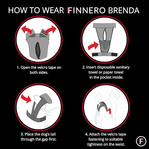 Image of FINNERO Brenda Reusable Dog Diaper, Leak-Proof, Adjustable, Heat & Incontinence Protection, L - Gray