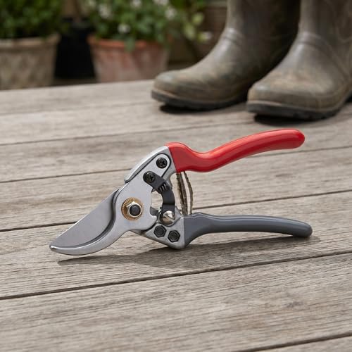 Tijeras de podar YJLDDZ 7.1 pulgadas para jardín miniatura 7