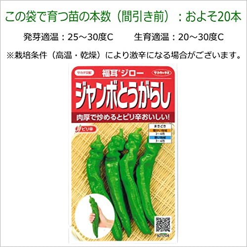 Amazon.co.jp: ジャンボとうがらし・福耳ジロー 種子 0.5ml 唐辛子
