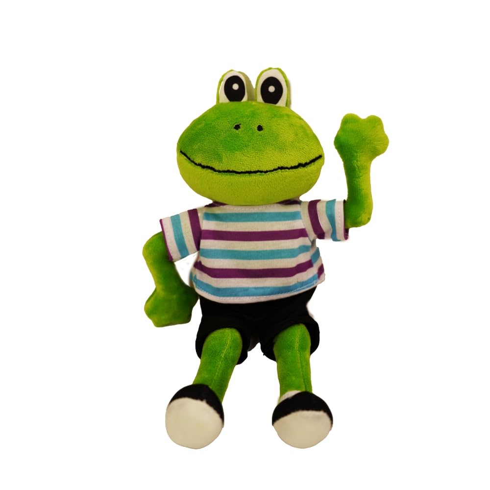 Frog Street Fernando The Frog - Set of 10 Mini Plush Puppets | Classroom Storytelling Tools