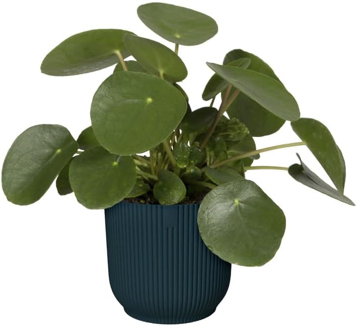 Elho Vibes Fold Round 18 - Flower Pot - Deep Blue - Indoor - Ø 18.345 x H 16.8 - Made with Recycled Materials