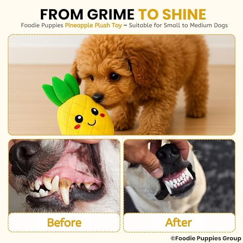 Image of Foodie Puppies Interactive Dog Squeaky Plush Toy - (Pineapple) | Durable Crinkle Papered, Cotton Stuffed Chew Toy for Teething, Cuddling, Playing and Training | for Small to Medium Dogs (Size: 21cm)