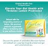 Global Health Trax GHT - ThreeLac Lemon Probiotic Drink Mix for Digestive Health - Advanced Probiotic Powder Formula for Men, Women & Kids - Immune Support & Gut Balance, Non-GMO - 60 Packets