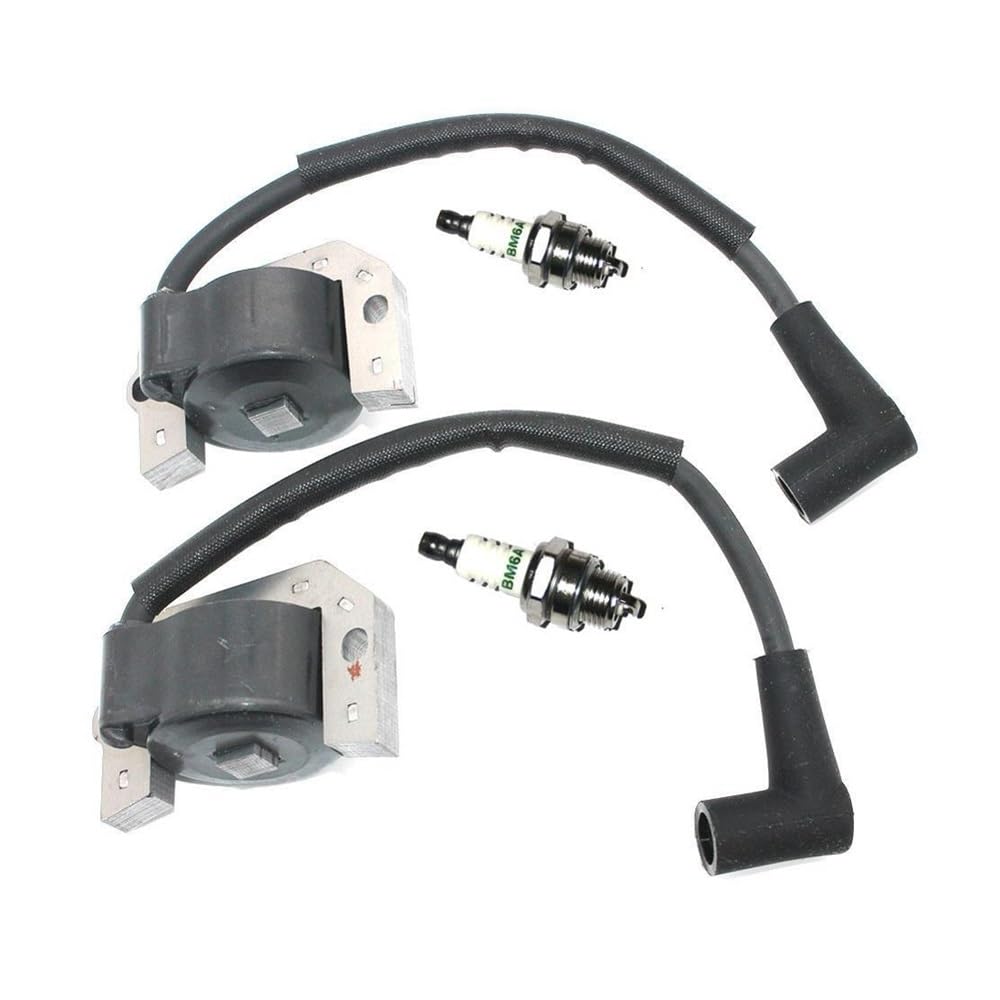 Bobine d'allumage de rechange pour moteurs de rechange FH451V, FH531V et référence 21171-7034