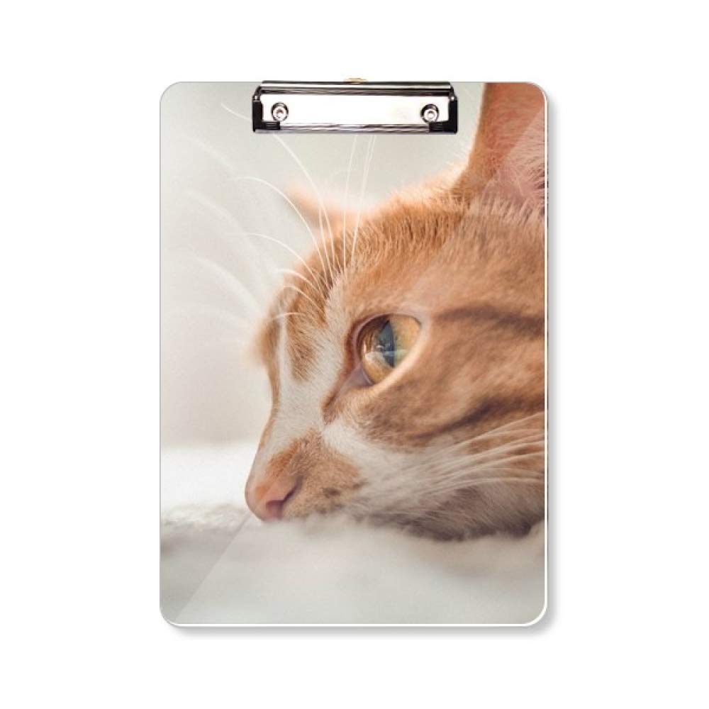 Bloc-notes chat avec support A4 stable pour une prise de note fluide - 5