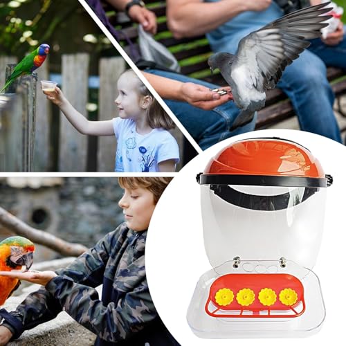 Mangeoire pour colibris portable extérieure pour ne plus effrayer les oiseaux