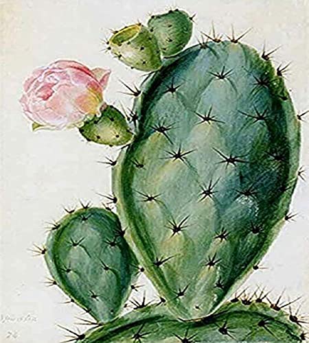 Bordado de cristal 5D de cactus y kit de pintura de diamante completo para manualidades