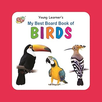 Hardcover My Best Board Book Of Birds Book