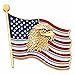 American Flag with Eagle Lapel Pin - Pack of 8