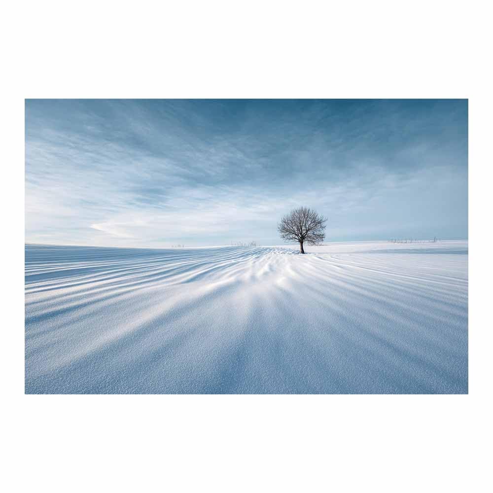 HUYEEI Landscape Wall Art Snowsy trees Modern Canvas Print On Artwork, Suitable for living room, bedroom, for Kids Room Decoretc.(white)-60x80cm Unframed