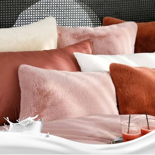 Housse de coussin 50x70 cm lot de 2 taies d'oreiller modernes pour sofa