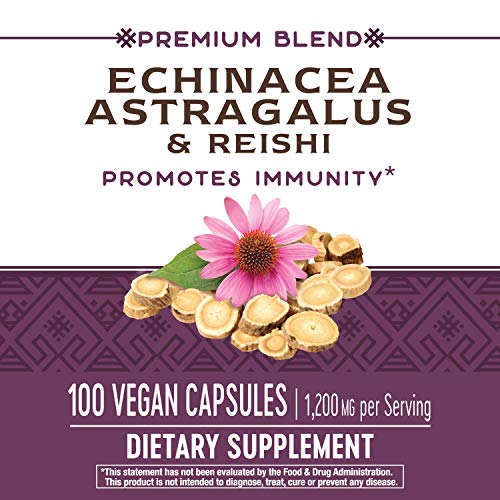 Nature's Way Echinacea Astragalus & Reishi, Immune Support*, 100 Capsules #TOP1