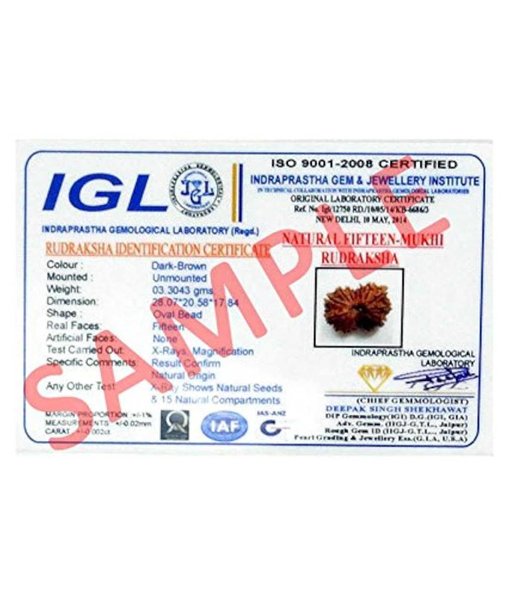 14 Mukhi Nepali Rudraksha Bead with Silver Pendant, Certified