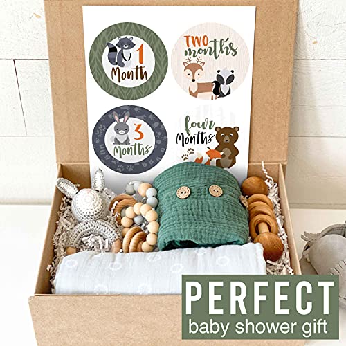 16 Monthly Baby Milestone Stickers - Woodland Baby Monthly Milestone Stickers, Milestone Baby Monthly Stickers, Baby Month Stickers For Baby Photo Props Newborn, Monthly Baby Stickers For Pictures #TOP5