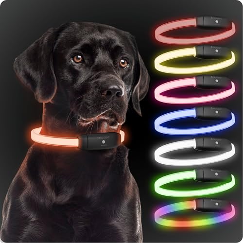PAJ GPS PAJ Light - Collier Lumineux Puissant pour Chiens de Toutes Tailles - Longueur Personnalisable 20-70cm - 100% étanche - 7 Couleurs différents - visibilité & sécurité la Nuit, Noir