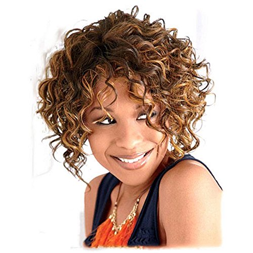 B-G Fashion Hair Wigs Short Curly Wave Wigs for Black Women with Wig Cap WIG057