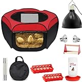 Chick Brooder Box, 7 Pcs Starter Kit Chicken Feeder and Waterer Set with 75W Heat Lamp, Perch Stand to 15 Chicks, Duck, Quail