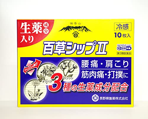 【第3類医薬品】百草シップII 10枚